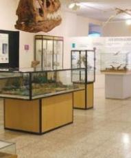 This is the Dinosaur Museum that Salas de los Infantes demands
