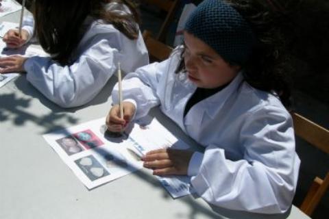 Marine Fossil Identification Workshop