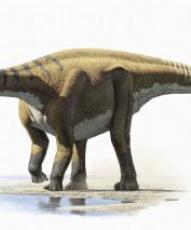 Los dinosaurios nos enseñan paleobiogeografía