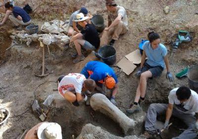 FOTOVista parcial del Yacimiento Valdepalazuelos- Tenada del Carrascal. Museo de Dinosaurios. CAS.