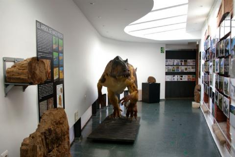 Dinosaur Museum Dinosaur Museum