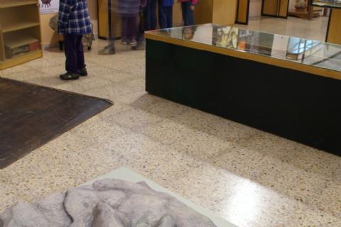 Dinosaur Museum Dinosaur Museum