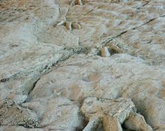Costalomo. Footprints of Atila in relief