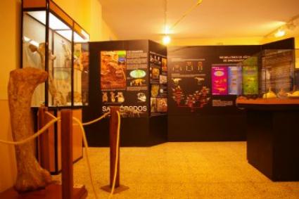 Dinosaur Museum Dinosaur Museum