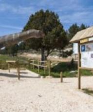 20 paleontological tourism destinations in Spain