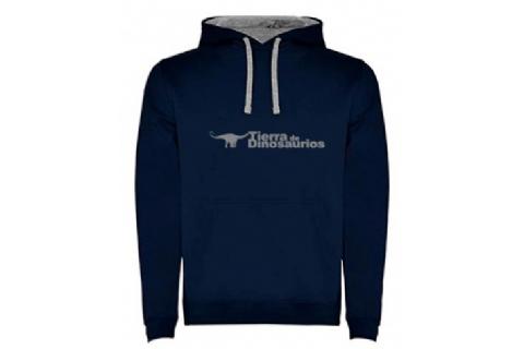 Children's blue sweatshirt Land of Dinosaurs Children's blue sweatshirt Land of Dinosaurs