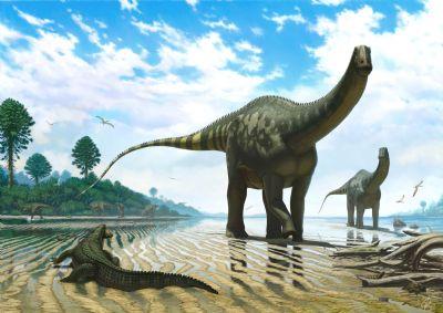FOTO:El Demandasaurus darwini es el dinosaurio que habitó la península ibérica hace unos 125 millones de años. Autor: Andrey Atuchin. / Fundación Dinosaurios CyL. FOTOEl Demandasaurus darwini es el dinosaurio que habitó la península ibérica hace unos 125 millones de años. Autor: Andrey Atuchin. / Fundación Dinosaurios CyL.