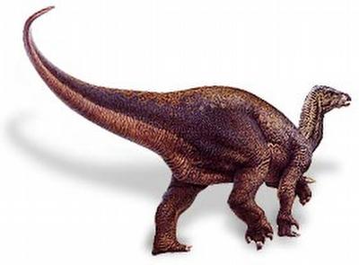 FOTOIguanodon en marcha cuadrúpeda.