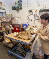Salas terminar el Museo de Dinosaurios con 230.000 euros