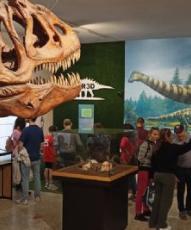Fondos Europeos para modernizar la difusin de nueve museos de paleontologa