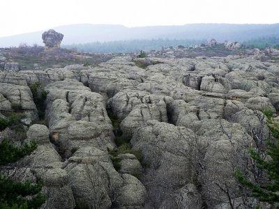 FOTO2 premio: Dinosaurios de piedra, de Carmelo Garca. / Fundacin Dinosaurios CyL 