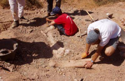 FOTOTrabajos de excavacin de los restos de iguanodontio que se trata de identificar  en este nuevo estudio. C.A.S.