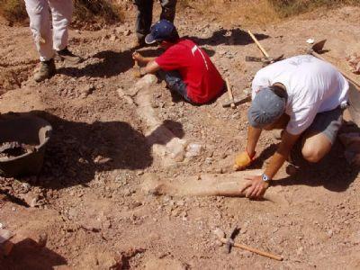 FOTOTrabajos de excavacin en la Sierra burgalesa. / C.A.S.