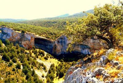 FOTO3 premio: "La cueva de los buitres", de Cristina Gonzlez Arribas. / Fundacin Dinosaurios CyL.