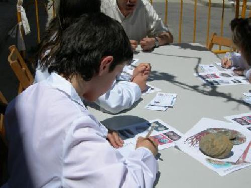 Talleres Didcticos sobre Paleontologa de Dinosaurios