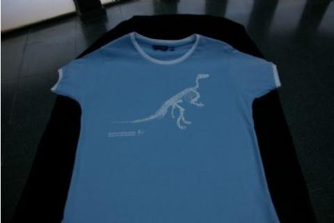 Camiseta azul Camiseta azul