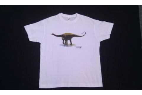 Camiseta Demansasaurus darwini
