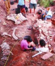 El CAS sitúa a la comarca en la cima de la paleontología tras 40 años de labor
