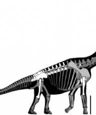 Europatitan eastwoodi: una nueva especie de dinosaurio de la Sierra de la Demanda