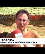 Tras cuatro días de campaña en Torrelara encuentran fósiles de un dinosaurio gigante