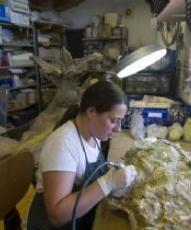 El CAS de Salas pide fondos para la restauración de los fósiles y excavar en verano