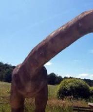 Siguiendo las huellas de los dinosaurios en Burgos