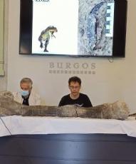 Completar los esqueletos de dinosaurios saurópodos, objetivo de las excavaciones en La Demanda