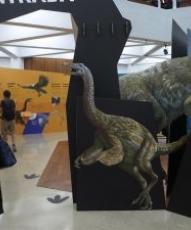 El Museo de Ciencias Universidad de Navarra trae a España la exposición 'Dinosaurios entre Nosotros'