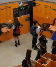 Cerca de 5.000 personas visitan la exposición “Dinosaurios entre Nosotros” organizada por el Museo de Ciencias Universidad de Navarra