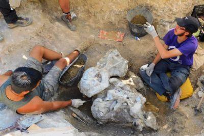 FOTO:Vértebra recuperada en la excavación en Torrelara de 2019 en la que no se ha podido trabajar por falta de espacio. C.A.S. FOTOVértebra recuperada en la excavación en Torrelara de 2019 en la que no se ha podido trabajar por falta de espacio. C.A.S.