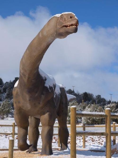 La Pedraja, Mambrillas de Lara (Burgos) La Pedraja, Mambrillas de Lara (Burgos)